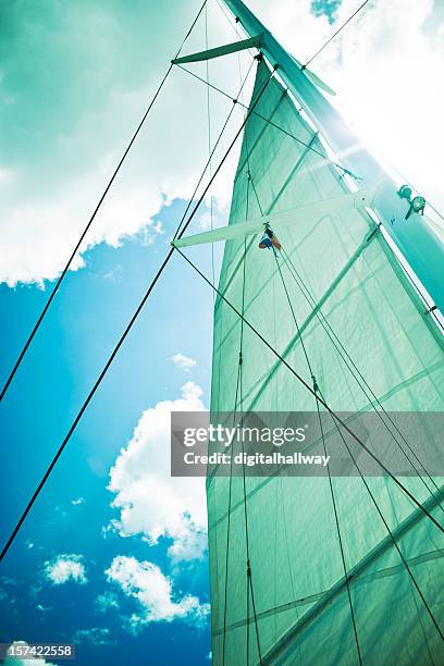 crossed processed sail boat - catamaran stock pictures, royalty-free photos & images