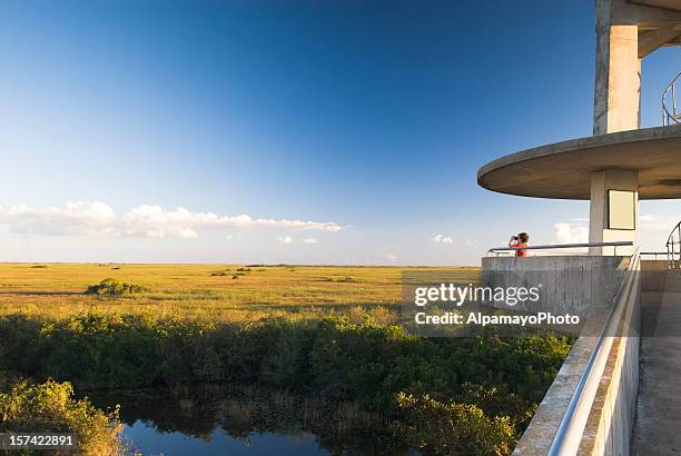 everglades: observación tower-ii - parque nacional everglades fotografías e imágenes de stock