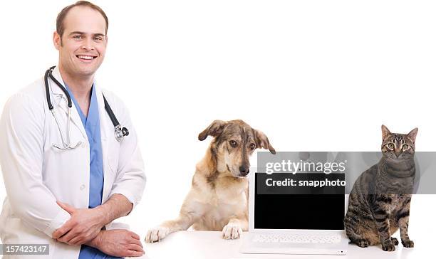 animal health care professional with blank screen cat and dog - cat laptop stock pictures, royalty-free photos & images