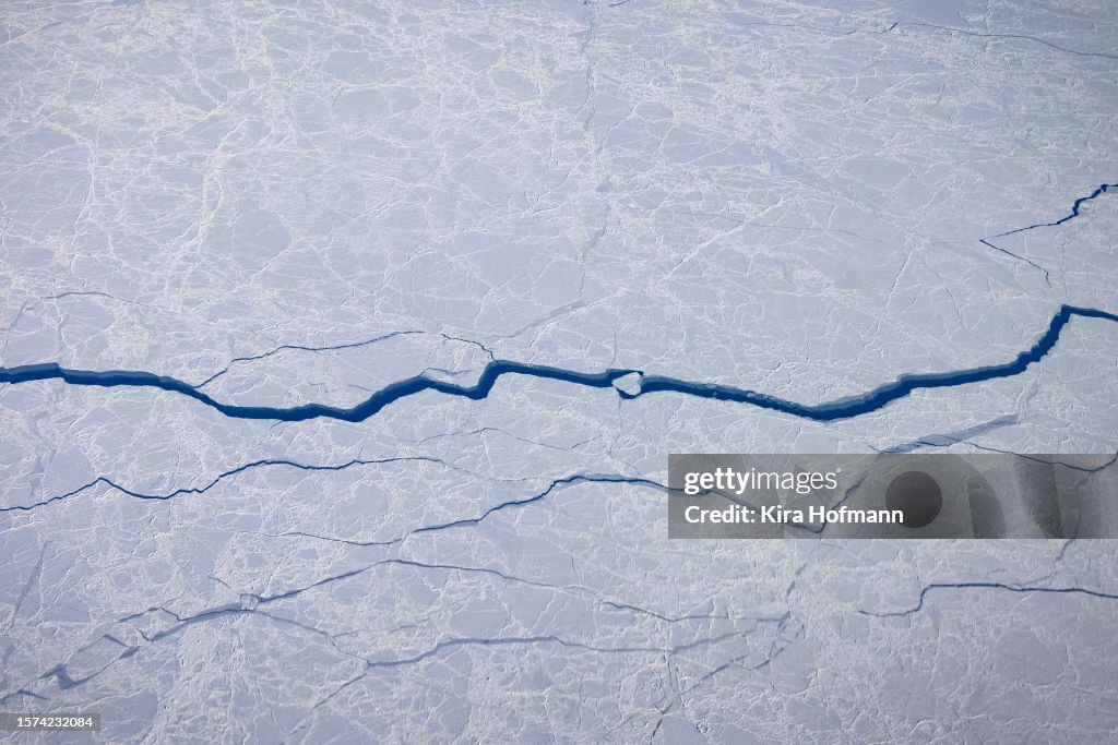 Arctic