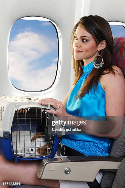 woman traveling with her pet - pet carrier stock pictures, royalty-free photos & images