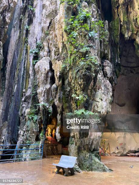 Cave Inner Inner Space Cavern Photos and Premium High Res Pictures - Getty Images