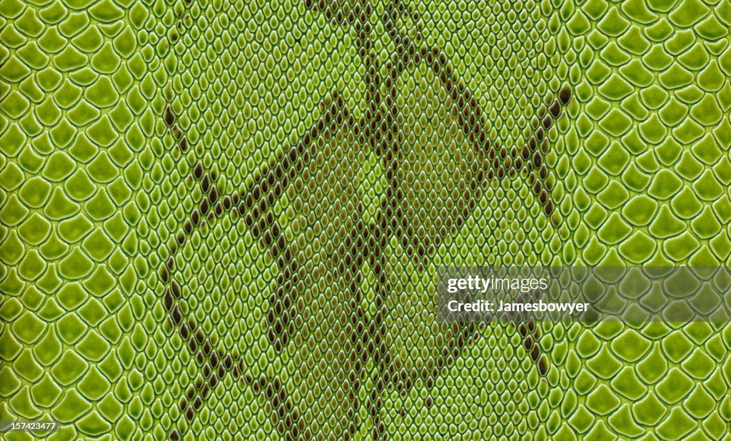 Green Snake Skin