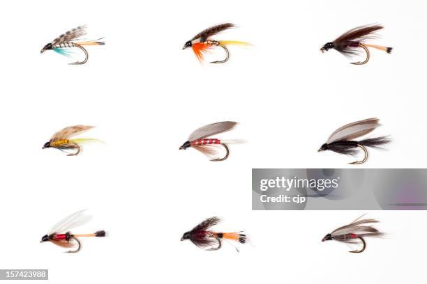 fly fishing - dry flies - tackle stockfoto's en -beelden