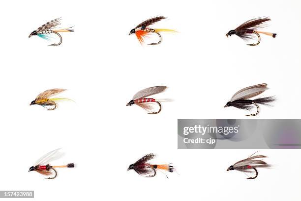 fly fishing - dry flies - fly casting stock pictures, royalty-free photos & images