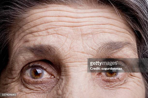 eyes of an old woman - brows stock pictures, royalty-free photos & images