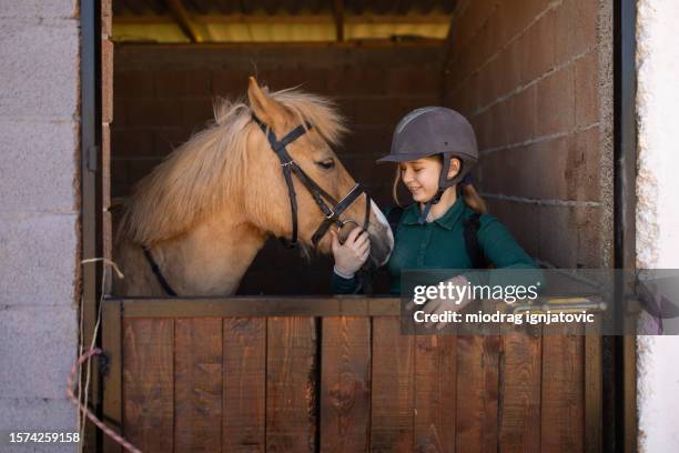 ragazza con il suo cavallo in una stalla - cavallo equino foto e immagini stock