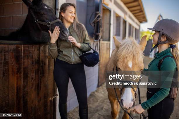 people love horses - pony stock pictures, royalty-free photos & images