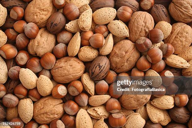 nuts - walnut stock pictures, royalty-free photos & images