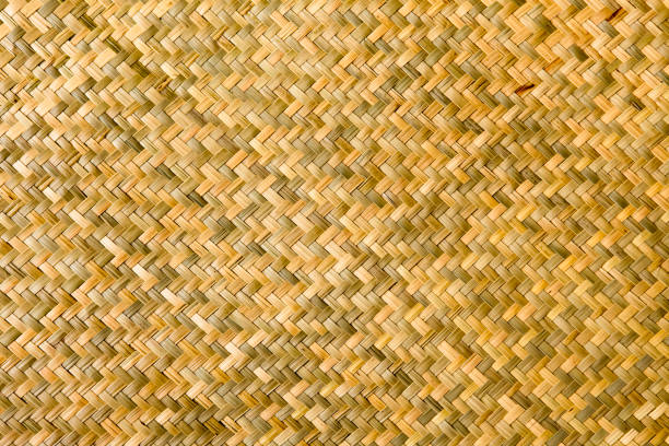 Cayne Reed 990 Cane Reed Stock Photos, High-Res Pictures, and Images - Getty Images