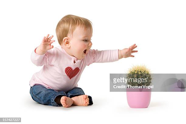 baby in danger - child cactus playing pain first aid - smart fashion stockfoto's en -beelden