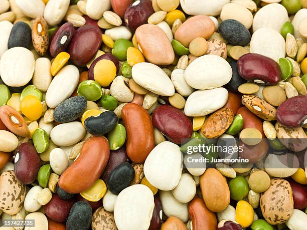 organic legumes background - appaloosa stock pictures, royalty-free photos & images