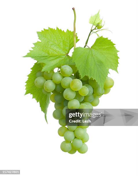 cluster of green grapes on a plain white background - green grape stock pictures, royalty-free photos & images