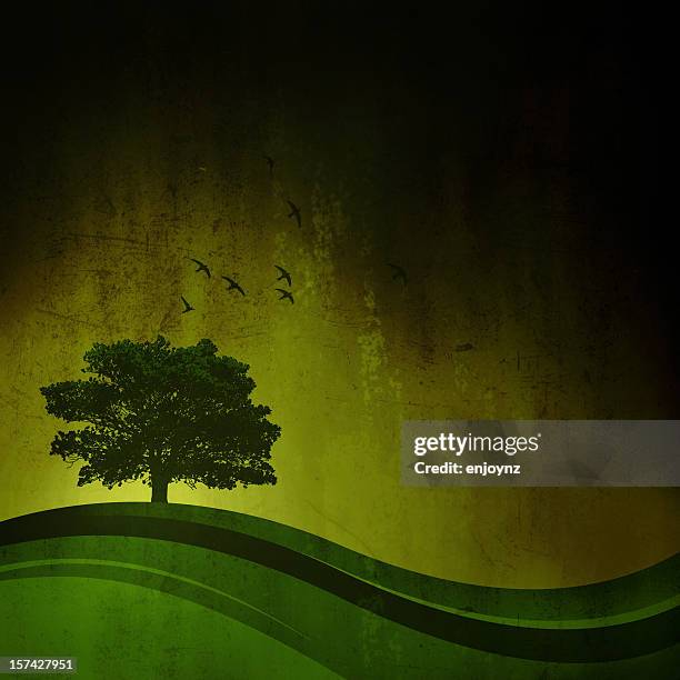 ein tree hill - rolling landscape stock-grafiken, -clipart, -cartoons und -symbole