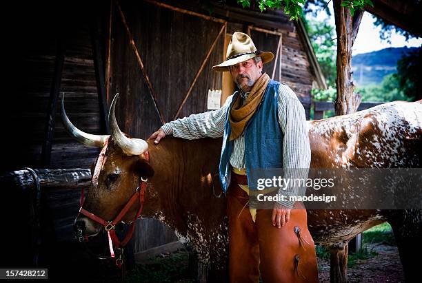 cowboy with longhorn - texas longhorn cattle bildbanksfoton och bilder