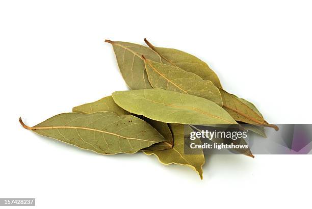 bay leaves - bay leaf stock pictures, royalty-free photos & images