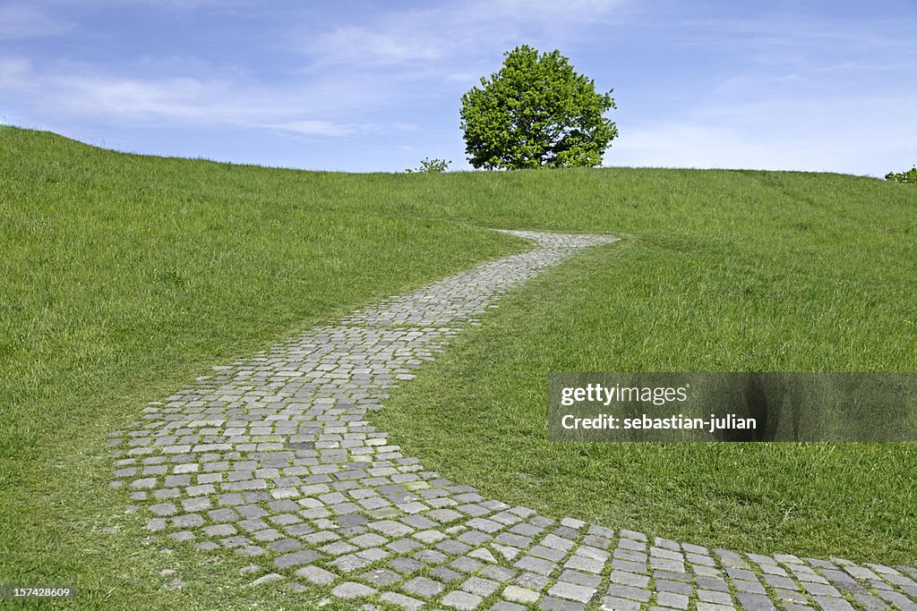 Cobbled stone path with lonely tree on a slope