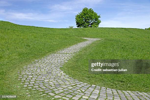 cobbled stone path with lonely tree on a slope - footpath stones stock pictures, royalty-free photos & images