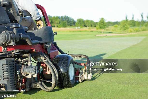 putting green maintenance - golf course maintenance stock pictures, royalty-free photos & images