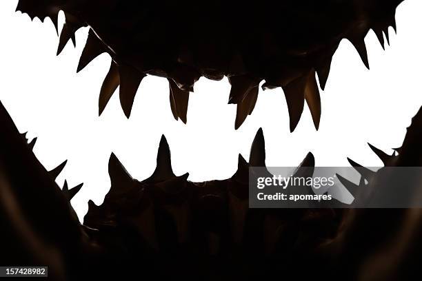 mako shark jaws terrifying toothy silhouette - mako stock pictures, royalty-free photos & images