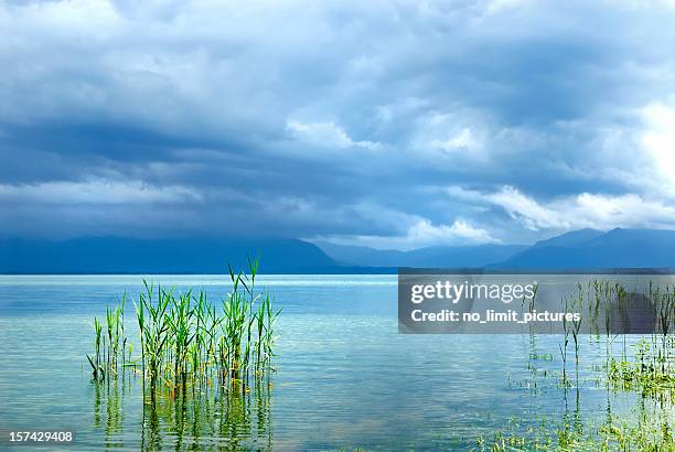 storm - chiemsee stock pictures, royalty-free photos & images