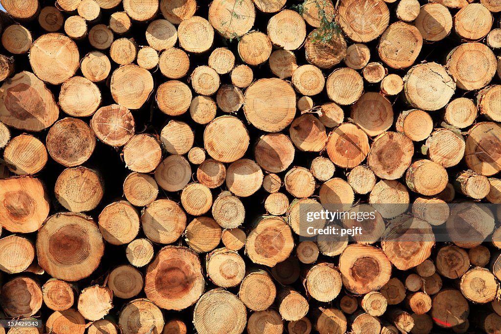 Logs in a stack - full frame XXXL