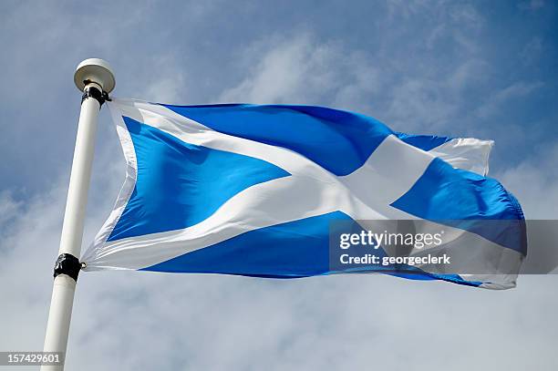 scottish flag in wind - scottish flag stock pictures, royalty-free photos & images