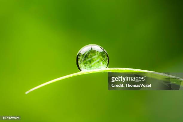 waterdrop. wasser tropfen blatt umweltschutz gleichgewicht grün natur - focus concept stock-fotos und bilder