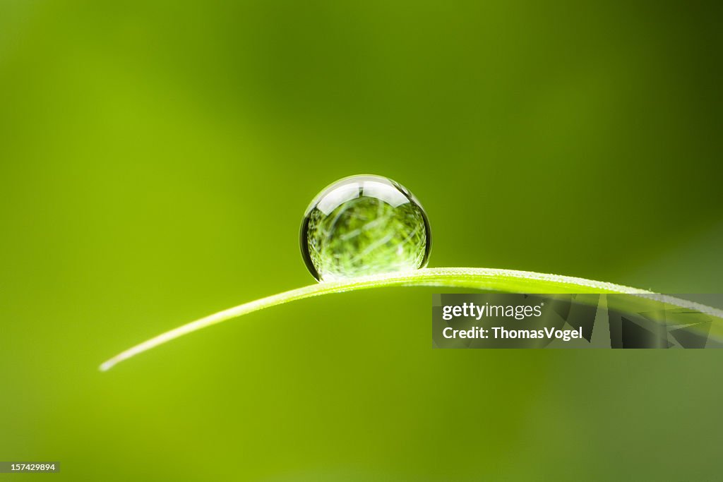 Waterdrop.  Water Drop Leaf Environmental Conservation Balance Green Nature