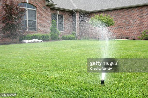 lawn sprinkler - sprinkler stock pictures, royalty-free photos & images