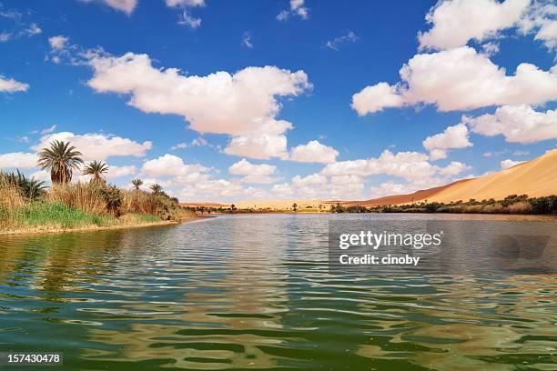 the green oasis - mandara lakes - mandara lakes stock pictures, royalty-free photos & images