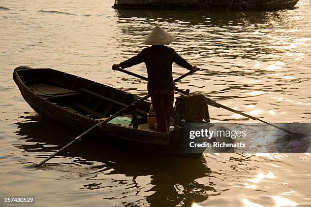 mekong delta, vietnam - delta i stock pictures, royalty-free photos & images