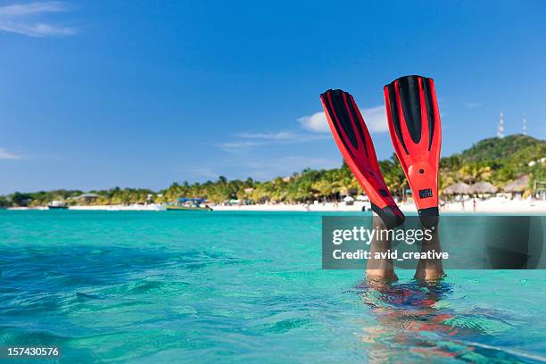 vacation lifestyles-snorkeler diving in ocean - zwemvliezen stockfoto's en -beelden