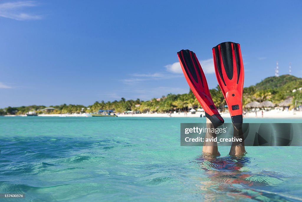Vacation Lifestyles-Snorkeler Diving in Ocean