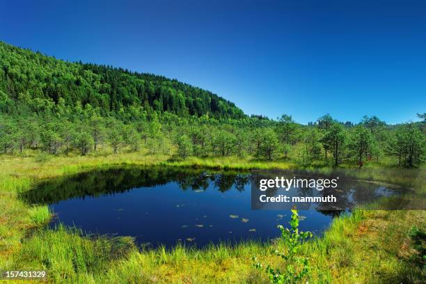 small lake in the mountains - miniature stockfoto's en -beelden