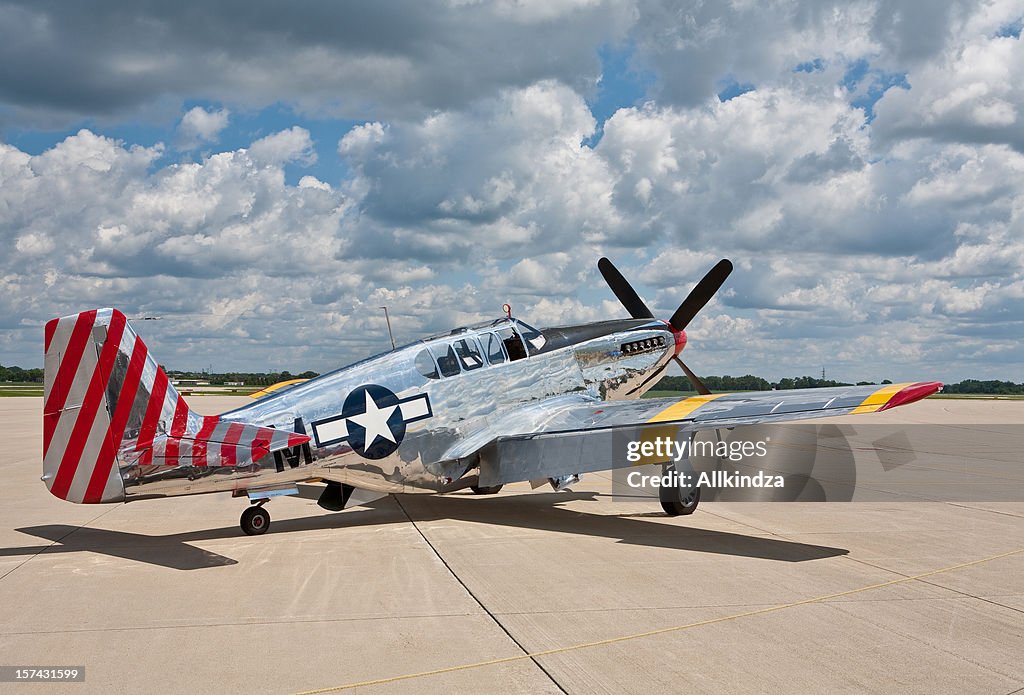 P51 Mustang WW2 Fighter plane two