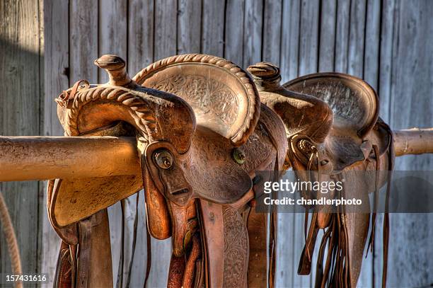 saddles, zwei - saddle stock-fotos und bilder