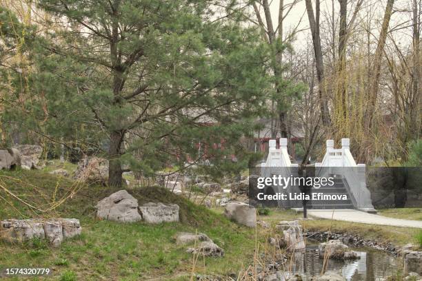Bridge in chinese traditional stone garden. Green plants and rocks in oriental forest. Decorative shrub for landscaping in Asian style. Zen garden with grass and pebbles. Marble rockery stone