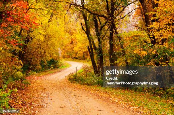 Wisconsin Trees Photos and Premium High Res Pictures - Getty Images