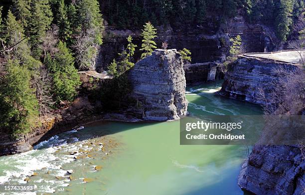 gorge along genesee river - eastern white pine stock pictures, royalty-free photos & images