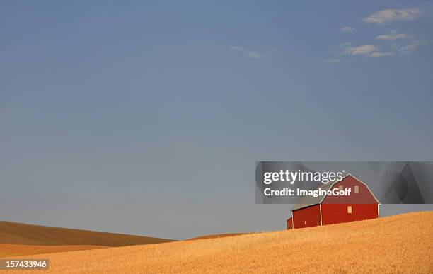 red barn on the prairie - pacific northwest landscaping stock pictures, royalty-free photos & images