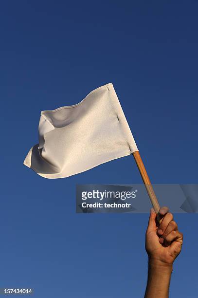 white flag - white flag stock pictures, royalty-free photos & images