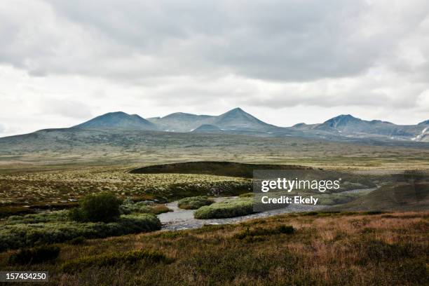 rondane mountain range at distant.. - rondane national park stock pictures, royalty-free photos & images