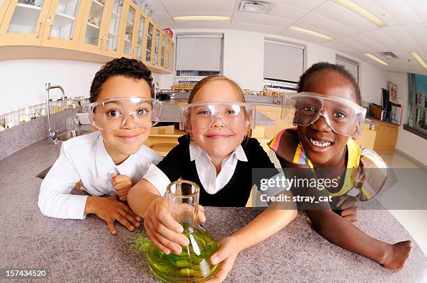 tiny scientists - classroom wide angle stock pictures, royalty-free photos & images