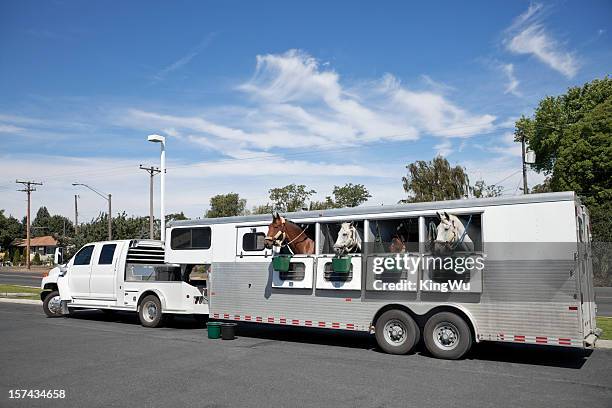 horse trailer - horse trailer stock pictures, royalty-free photos & images