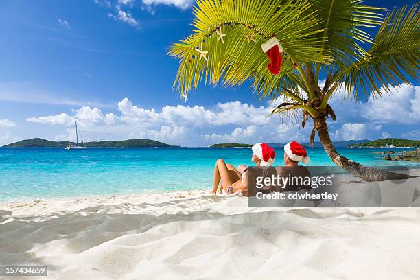 karibik-weihnachten - christmas palm tree stock-fotos und bilder