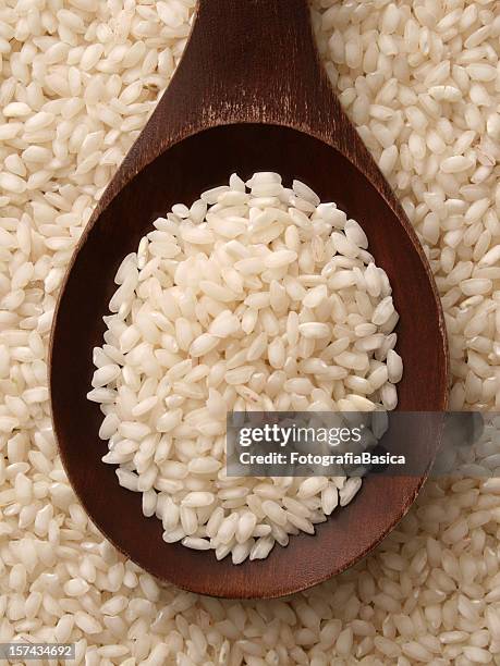 arroz arborio - arroz de grão curto imagens e fotografias de stock