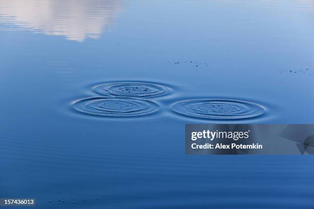 Water Rings Ripples 5,396 Pond Water Ripple Stock Photos, High-Res Pictures, and Images ...