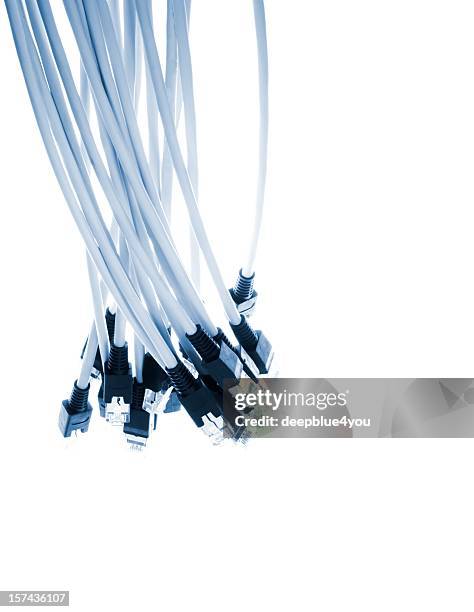 casco di rete ethernet spine isolato su bianco - fascio foto e immagini stock