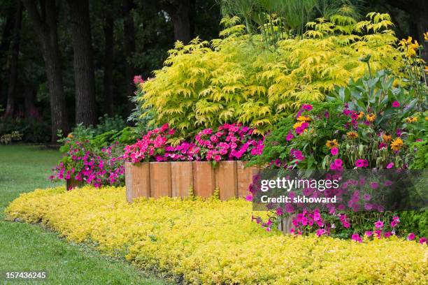landscaped garden with raised planters - retaining wall stock pictures, royalty-free photos & images
